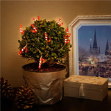 Goobay 58117 dekorativ belysning Fairy lights 10 pære(r ) LED