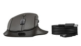 HP Ultra-Fast-Scroll Wireless Mouse 785M