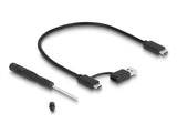 DeLOCK 42015 drevkabinet SSD kabinet Grå M.2