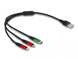 DeLOCK 87881 USB-kabel USB 2.0 0,3 m USB A USB C/Lightning Sort, Grøn, Rød