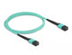 DeLOCK 86956 InfiniBand og fiberoptisk kabel 2 m MPO Turkisfarve
