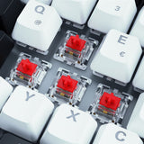 Sharkoon SKILLER SGK50 S3 tastatur Spil USB QWERTY Tysk Hvid