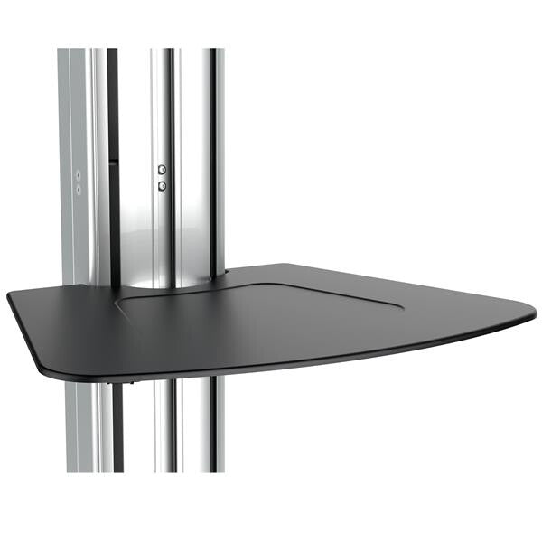 StarTech.com STNDMTV70 skærmbeslag til skiltning 190,5 cm (75") Sort, Rustfrit stål