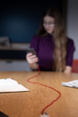 TROIKA CBL20/RD USB-kabel 2 m USB C USB C/Lightning 100 W Rød