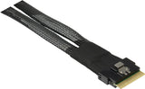Inter-Tech SFF-8654 8i - 2x SFF-8643 24 Gbit/sek. Sort