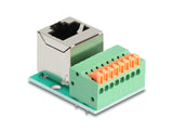 DeLOCK 90653 kabel kønsskifter RJ45 8 pin terminal block Grøn, Sølv
