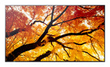 Sharp MultiSync M502 Digital fladpaneldisplay 127 cm (50") LCD 550 cd/m² 4K Ultra HD Sort 24/7