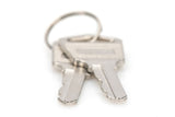 Digitus DN-45000-KEY tilbehør til rack Låsetast