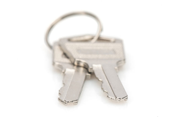 Digitus DN-45000-KEY tilbehør til rack Låsetast