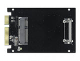 DeLOCK SATA 22 pin male to mSATA slot interface-kort/adapter Intern