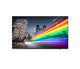Philips 50BFL2214/12 TV 127 cm (50") 4K Ultra HD Smart TV Wi-Fi Sort 350 cd/m²