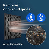 Philips 1000 series FY1413/30-NanoProtect-filter