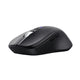 Trust 25673 mus Universel Ambidextrous Bluetooth 3200 dpi