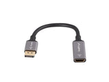Lanberg AD-DP-HD-02 videokabel adapter 0,2 m DisplayPort HDMI Sølv