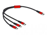 DeLOCK 86710 USB-kabel USB 2.0 0,3 m USB C USB C/Micro-USB B/Lightning Sort, Rød