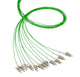 EFB Elektronik O3481.2 InfiniBand og fiberoptisk kabel 2 m LC 12x LC Grøn