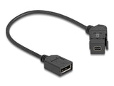 DeLOCK 67155 kabel kønsskifter Mini DisplayPort DisplayPort Sort