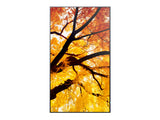 Sharp MultiSync M432 Digital fladpaneldisplay 108 cm (42.5") LCD 550 cd/m² 4K Ultra HD Sort