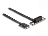DeLOCK 64217 interface-kort/adapter Intern PCIe