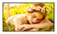 LG 75UL5Q-E skilte display Digital fladpaneldisplay 190,5 cm (75") LED Wi-Fi 500 cd/m² 4K Ultra HD Sort WebOS 24/7