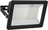 Goobay 53876 projektør Sort 100 W LED F