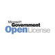 Microsoft OneDrive for Business P2 Government (GOV) 1 licens(er) 1 År