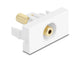DeLOCK 90843 stikkontakt 2 x 3.5mm Hvid