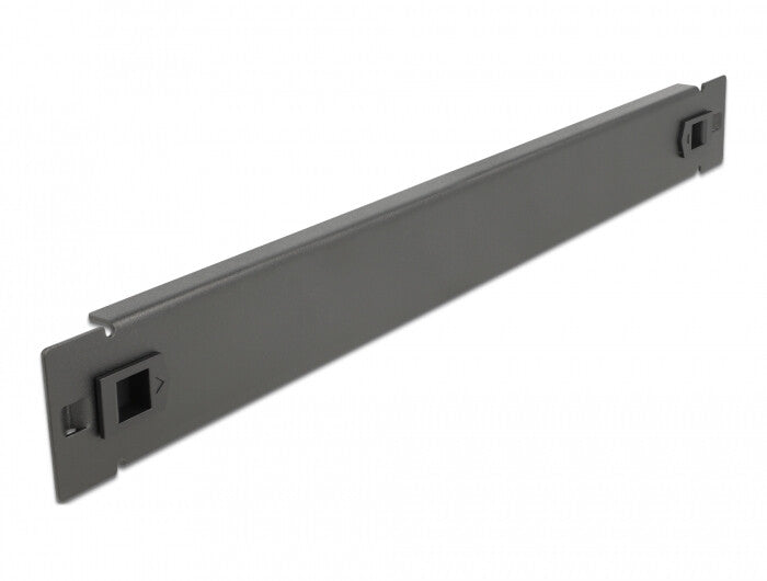 DeLOCK 66577 tilbehør til rack Blindpanel