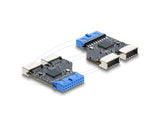 DeLOCK 67342 kabel kønsskifter USB 5 Gbps 20 pin header 2x USB 5 Gbps 20 pin header Sort, Blå