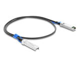 DeLOCK 84076 InfiniBand og fiberoptisk kabel 1 m SFP28 Twinax Sort