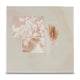 Hama Singo II fotoalbum og arkbeskyttelse Beige 200 ark 10 x 15