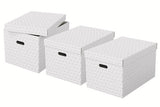 Esselte Home opbevaringsboks Large, pakke med 3