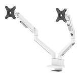 Neomounts DS70-250WH2 skærmbeslag og -stativer 81,3 cm (32") Skrivebord Hvid