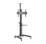 Gembird TV Standfuß mit Rollen 37 - 100 TVS-70T-02