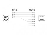 DeLOCK 66313 kabel kønsskifter M12 RJ45 Sort