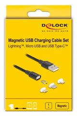 DeLOCK 88165 USB-kabel 1 m USB A Sort