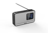 Panasonic RF-D15 Bærbar Digital Sort, Sølv