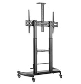 Gembird TVS-100T-02 tv-beslag 2,54 m (100")