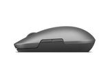 Lenovo Pro Plus 6050 mus Kontor Ambidextrous RF trådløs + Bluetooth Optisk 2400 dpi