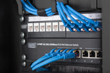 Digitus DN-10-ORG-1-2U-B tilbehør til rack Kabelbakkepanel