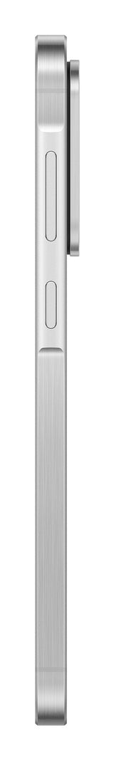 Samsung Galaxy A56 17 cm (6.7") Dual SIM Android 15 5G USB Type-C 8 GB 256 GB 5000 mAh Lys grå
