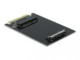 DeLOCK SATA 22 pin male to mSATA slot interface-kort/adapter Intern