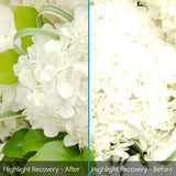 Corel AfterShot Pro 3 Grafisk redaktør Fuld 1 licens(er)