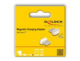 DeLOCK 66588 kabel kønsskifter magnet USB C Guld, Hvid