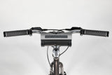 TechniSat Bike 1 Bærbar Analog & digital Sort, Sølv