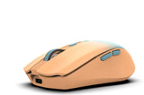 Inca IWM-511RT mus Kontor Højre hånd RF Wireless + Bluetooth + USB Type-C Optisk 1600 dpi