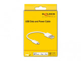 DeLOCK 83001 Lightning kabel 0,15 m Hvid