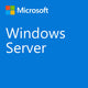 Microsoft Windows Server CAL 2022 Client Access License (CAL) 1 licens(er)