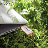 Intenso Green Line USB-nøgle 64 GB USB Type-A 3.2 Gen 1 (3.1 Gen 1) Beige, Brun