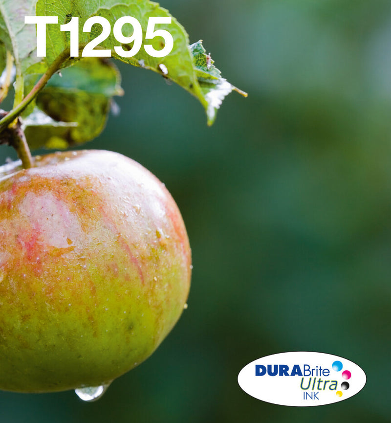 Epson Apple T129 æble DURABrite Ultra multipakke 4-farve blæk EasyMail Ink